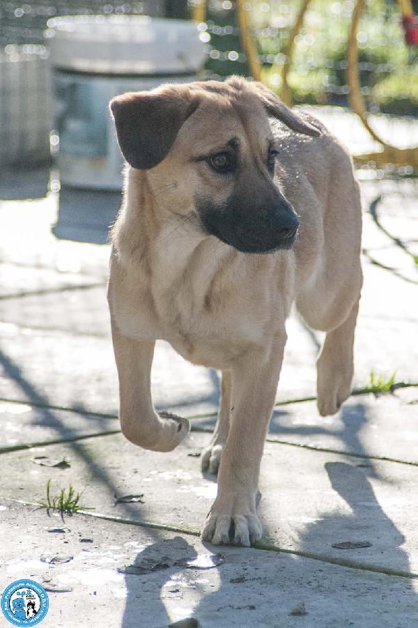 Pam, cerca chi sappia vederla davvero Foto 4